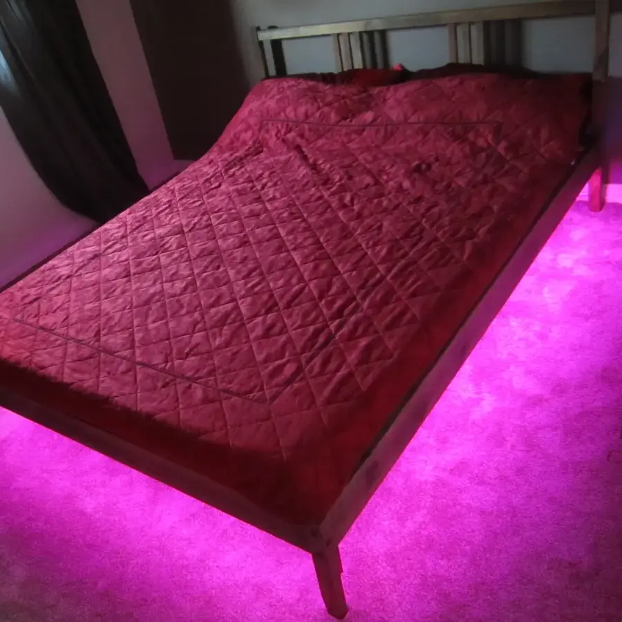 Thermal photo of a house door, showing heat losses